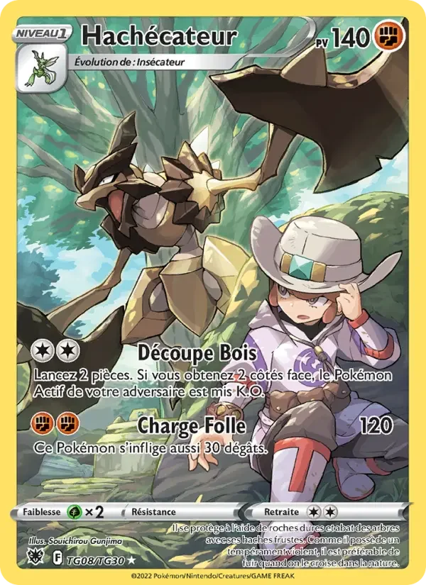 Carte Pokémon Hachécateur — Astres Radieux