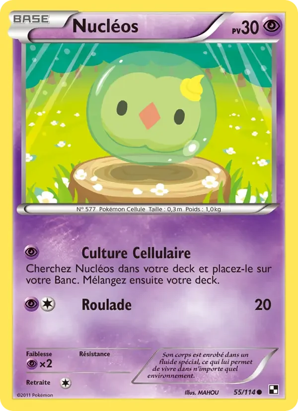 Carte Nucléos
