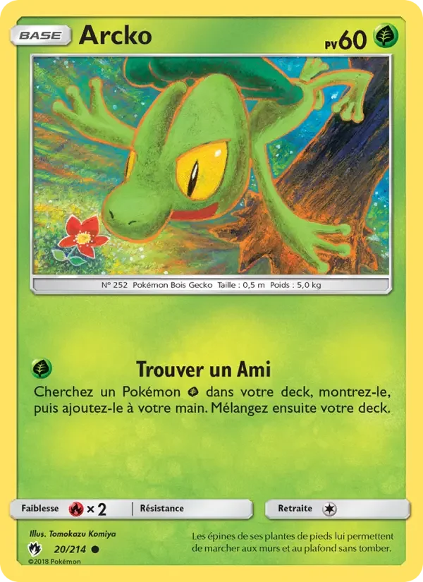 Carte Pokémon Arcko — Tonnerre Perdu