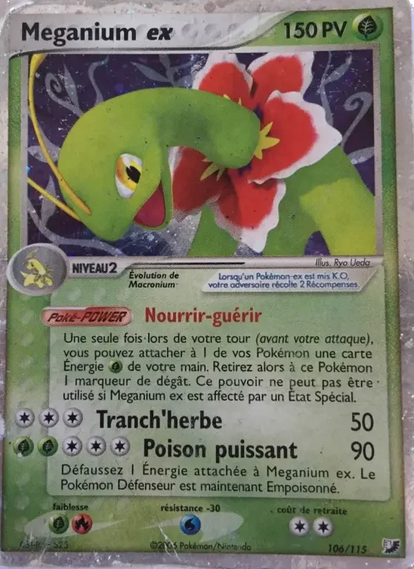 Carte Meganium ex