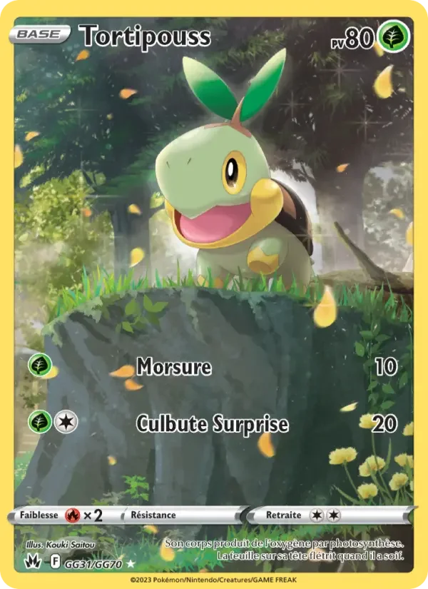 Carte Pokémon Tortipouss — Zénith Suprême