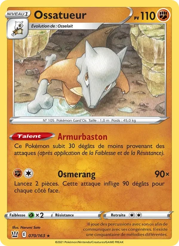 Carte Ossatueur