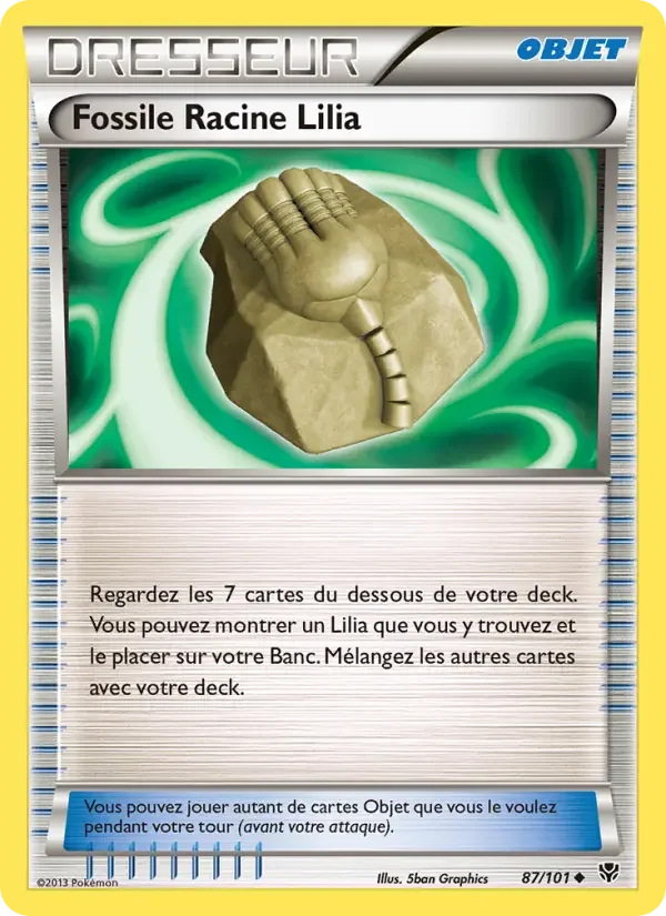 Carte Fossile Racine Lilia