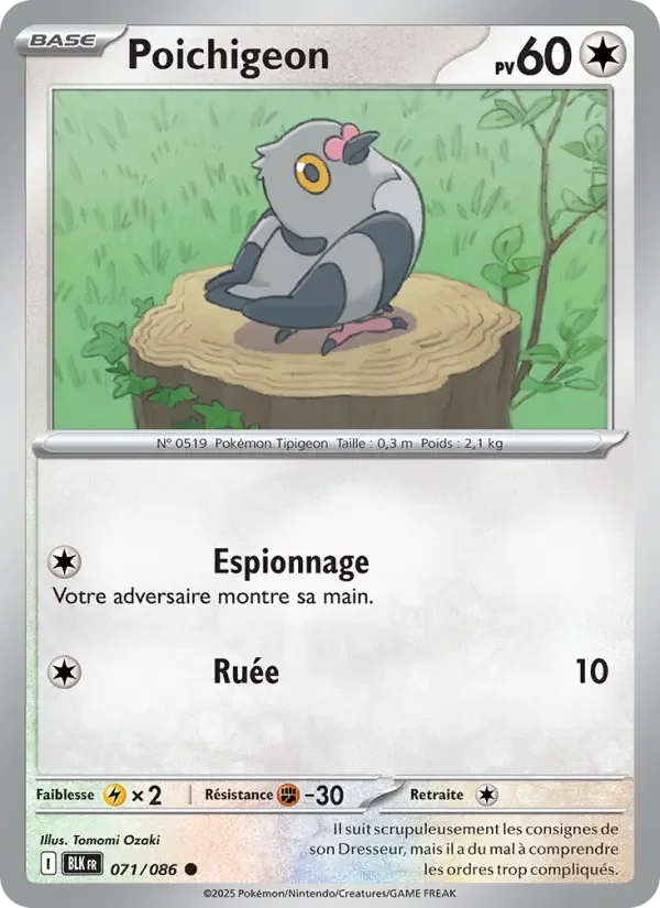 Carte Pokémon Poichigeon — Foudre Noire