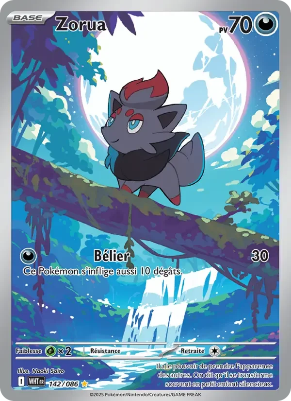 Carte Zorua
