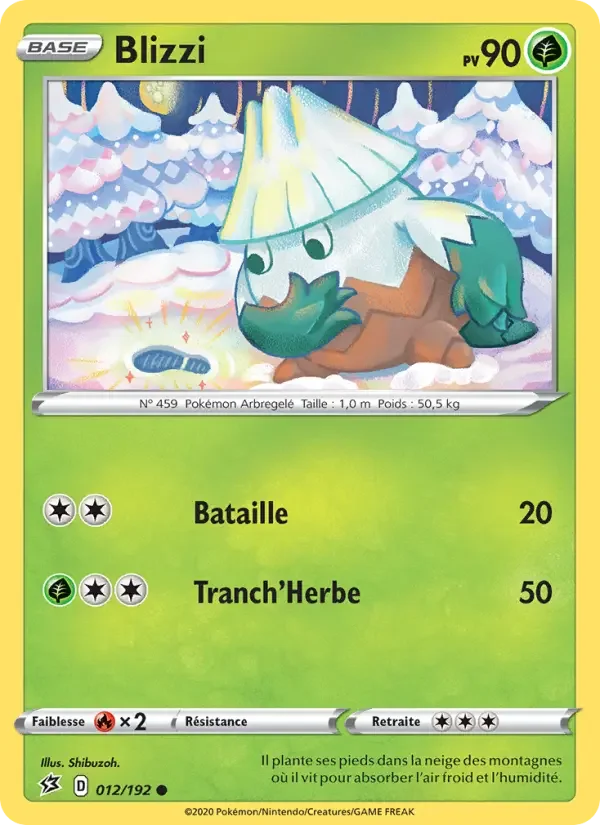 Carte Blizzi