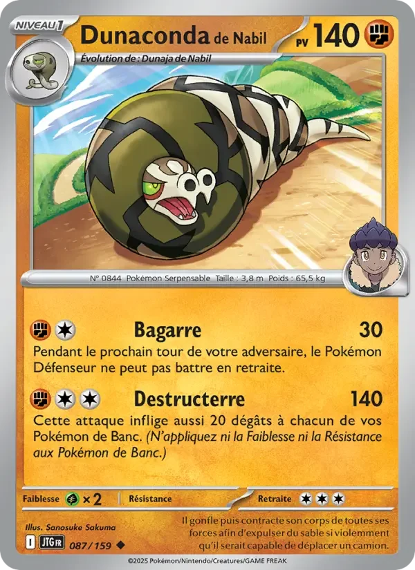 Carte Pokémon Dunaconda de Nabil — Aventures Ensemble