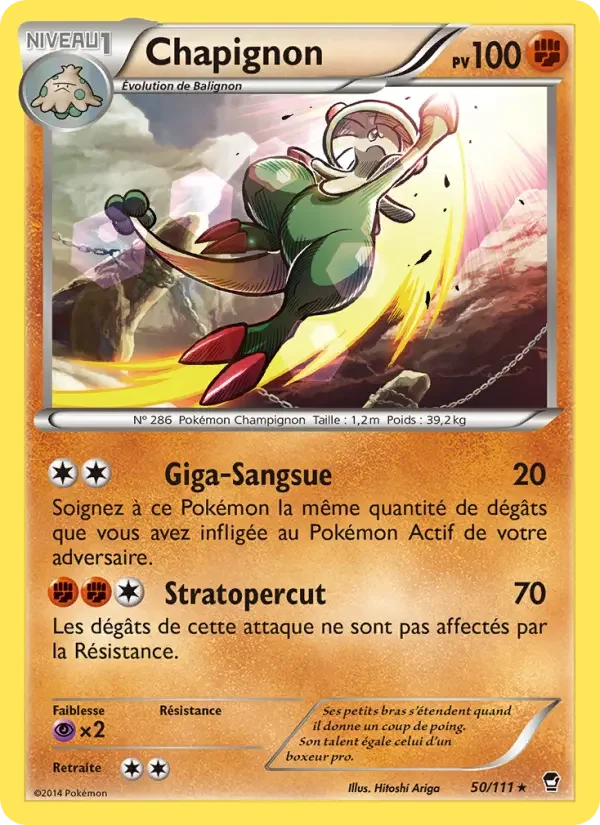 Carte Pokémon Chapignon — Poings Furieux