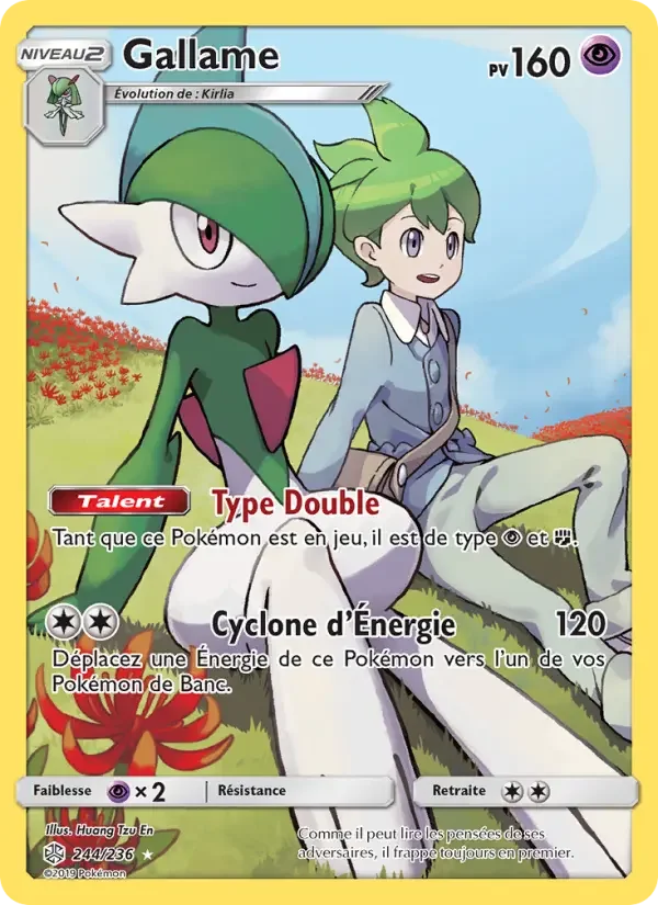 Carte Pokémon Gallame — Éclipse Cosmique