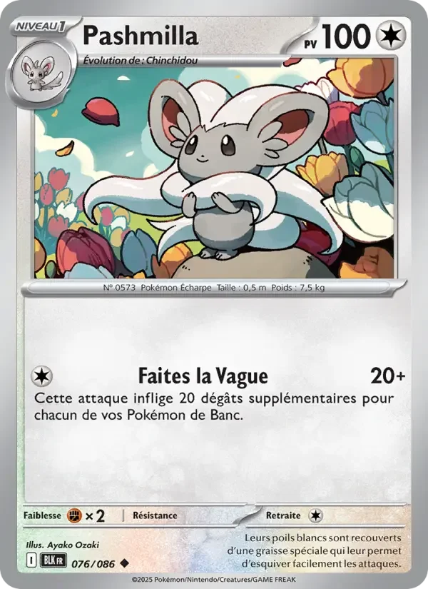 Carte Pashmilla