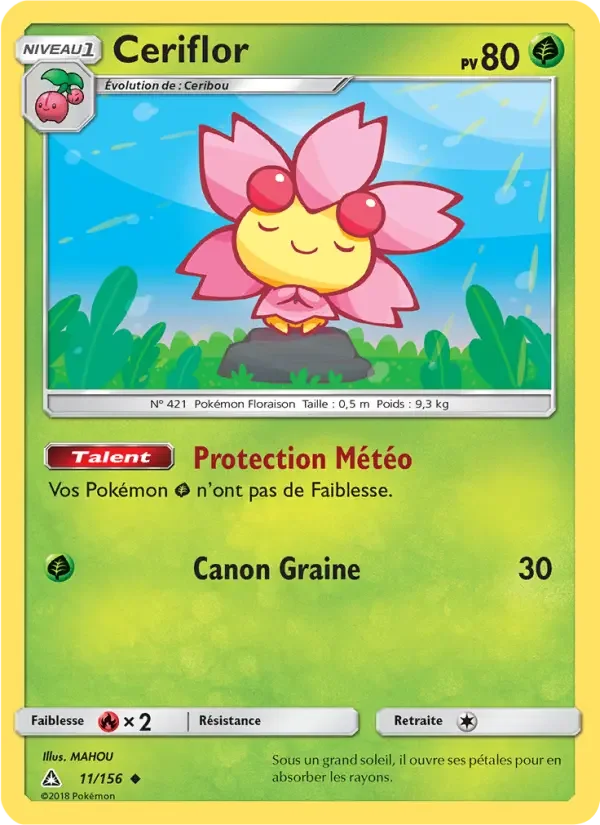 Carte Ceriflor