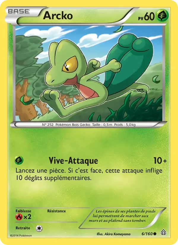 Carte Arcko