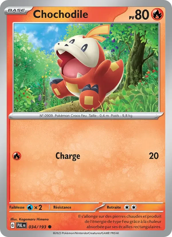 Carte Chochodile