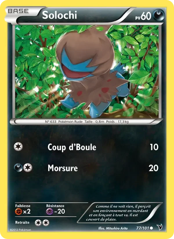 Carte Solochi