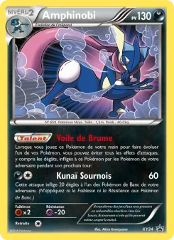 Carte Pokémon Greninja — Promos X&Y