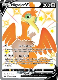 Carte Nigosier V