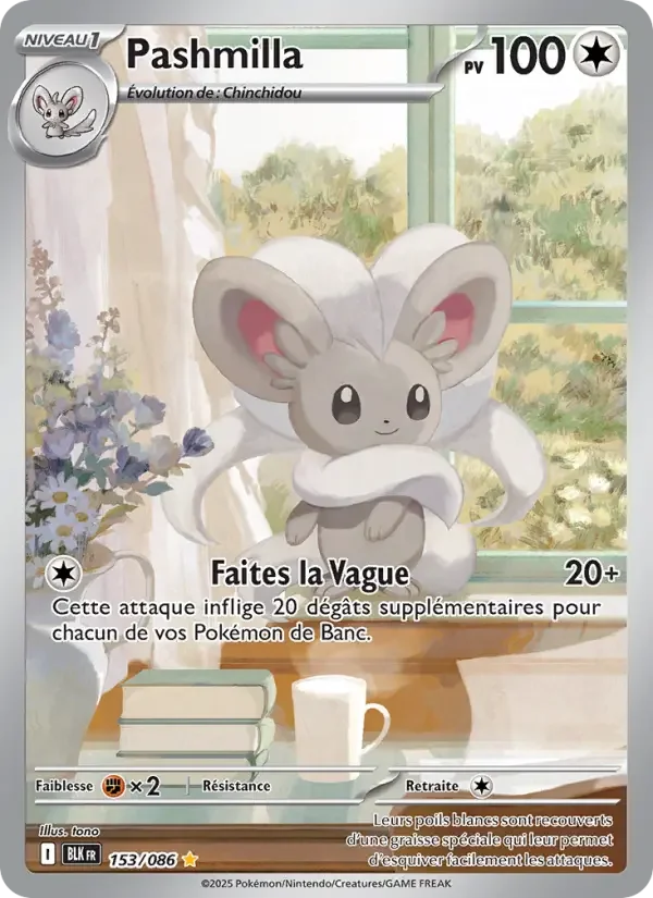 Carte Pashmilla