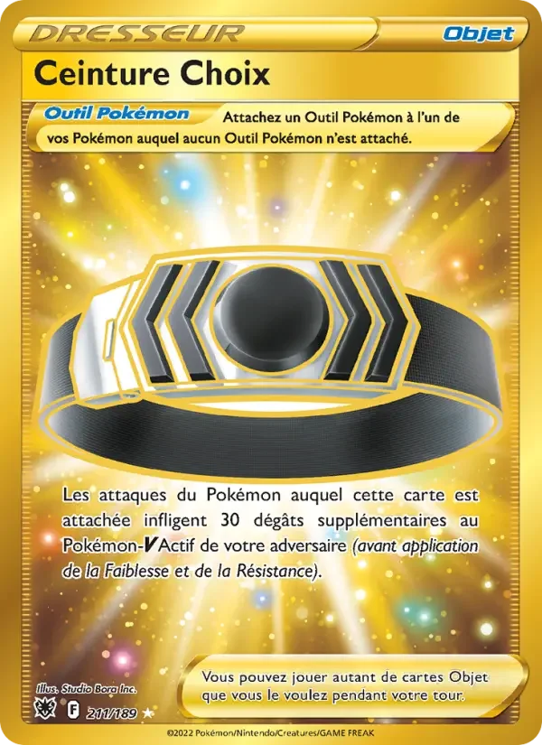 Carte Ceinture Choix