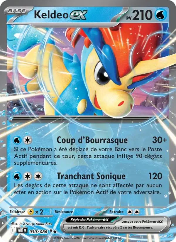Carte Keldeo-ex