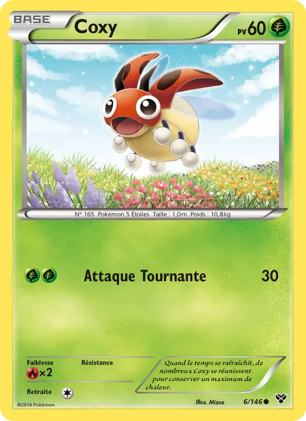 Carte Coxy