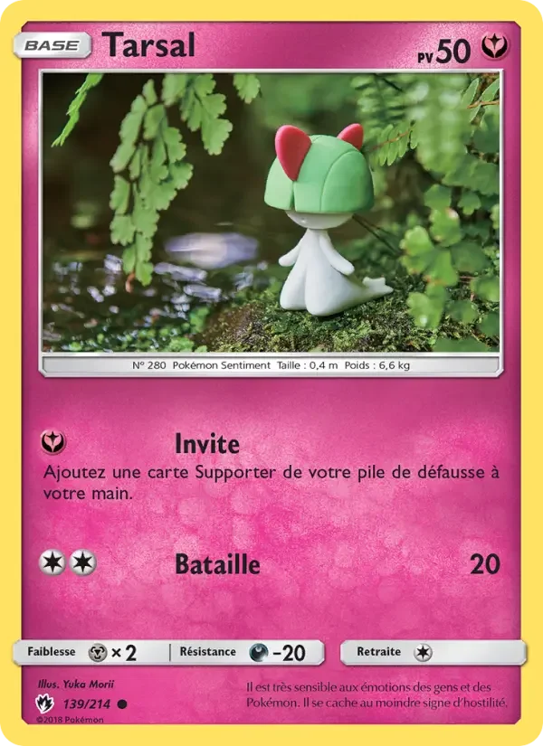 Carte Tarsal