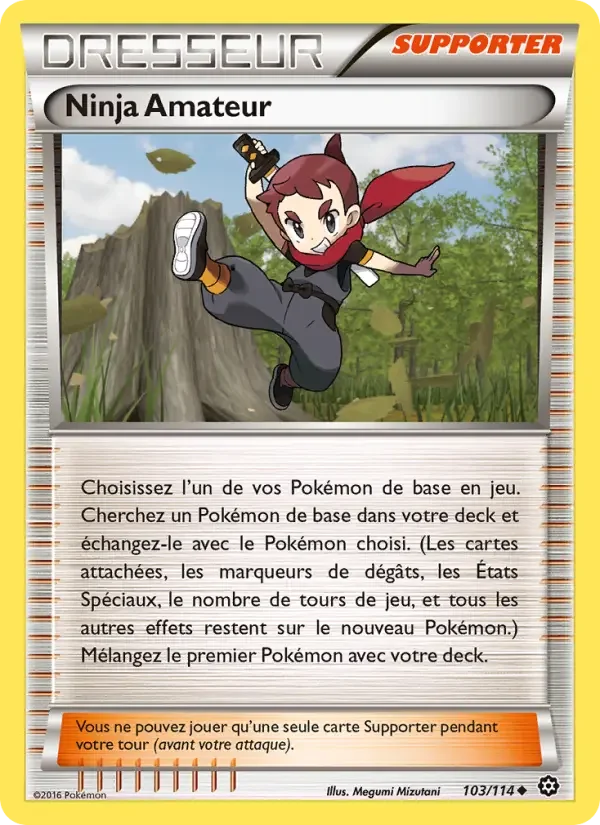 Carte Ninja Amateur