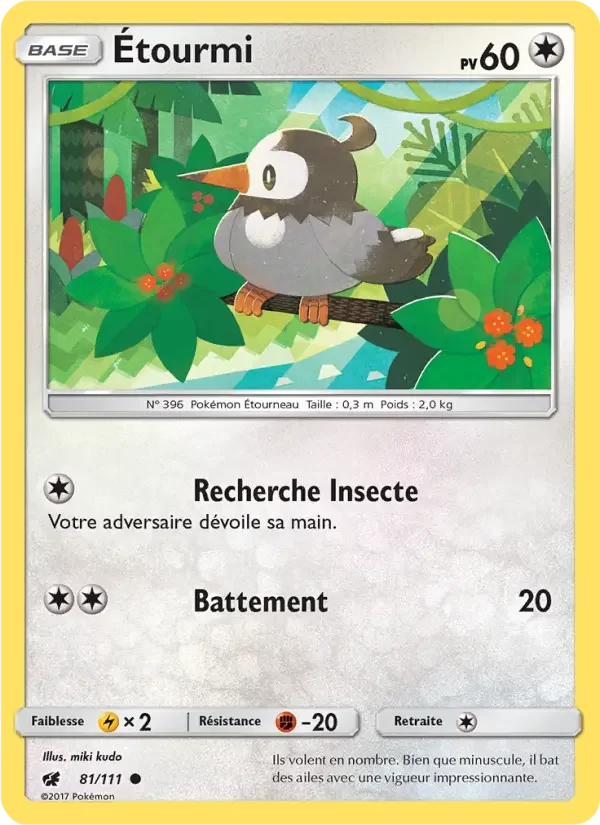 Carte Étourmi