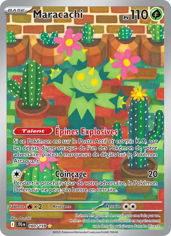 Carte Pokémon Maracachi — Aventures Ensemble