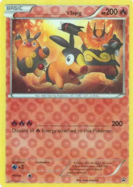 Carte _____'s Tepig