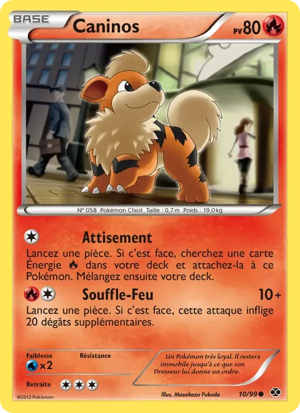 Carte Caninos