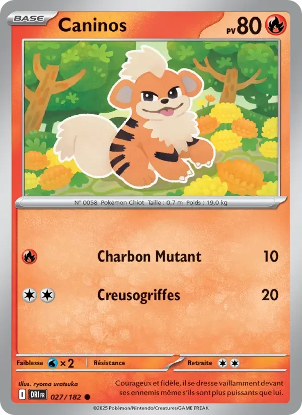 Carte Pokémon Caninos — Rivalités Destinées