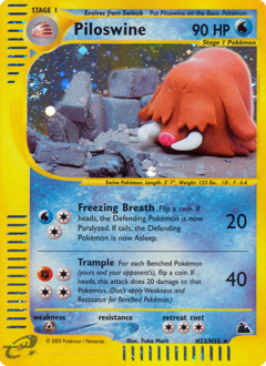 Carte Pokémon Cochignon — Skyridge