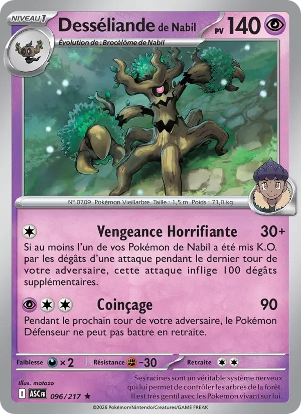 Carte Desséliande de Nabil