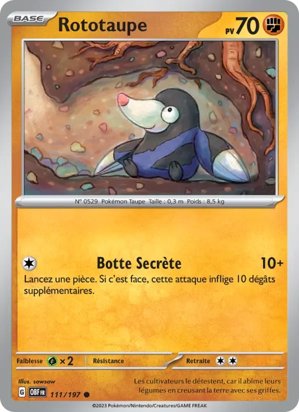 Carte Rototaupe