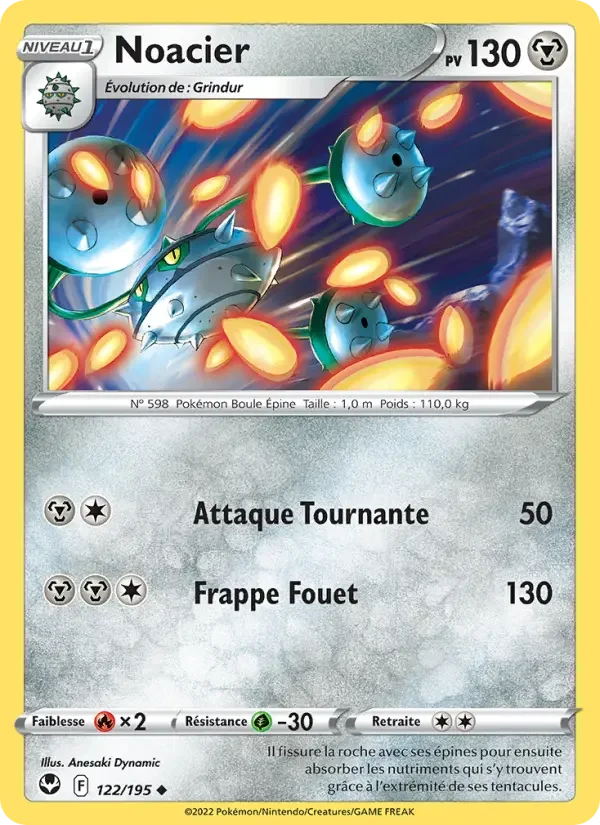 Carte Noacier