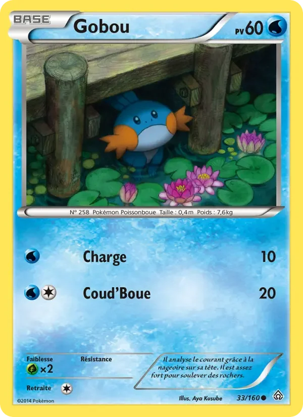Carte Pokémon Gobou — Primo-Choc