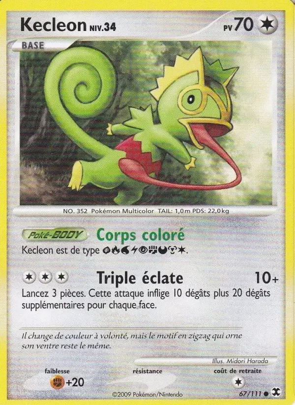 Carte Kecleon Niv. 34