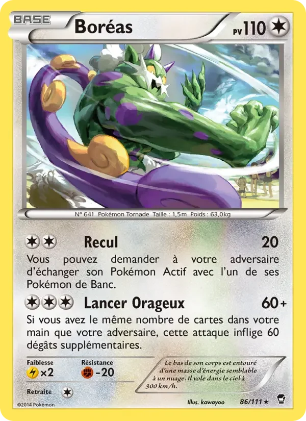 Carte Pokémon Boréas — Poings Furieux