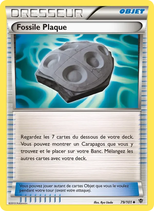 Carte Fossile Plaque