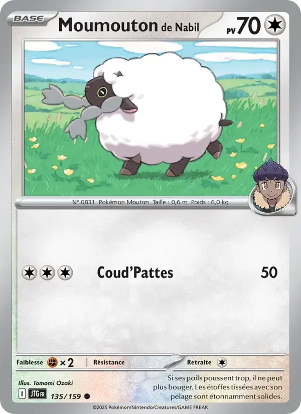 Carte Pokémon Moumouton de Nabil — Aventures Ensemble