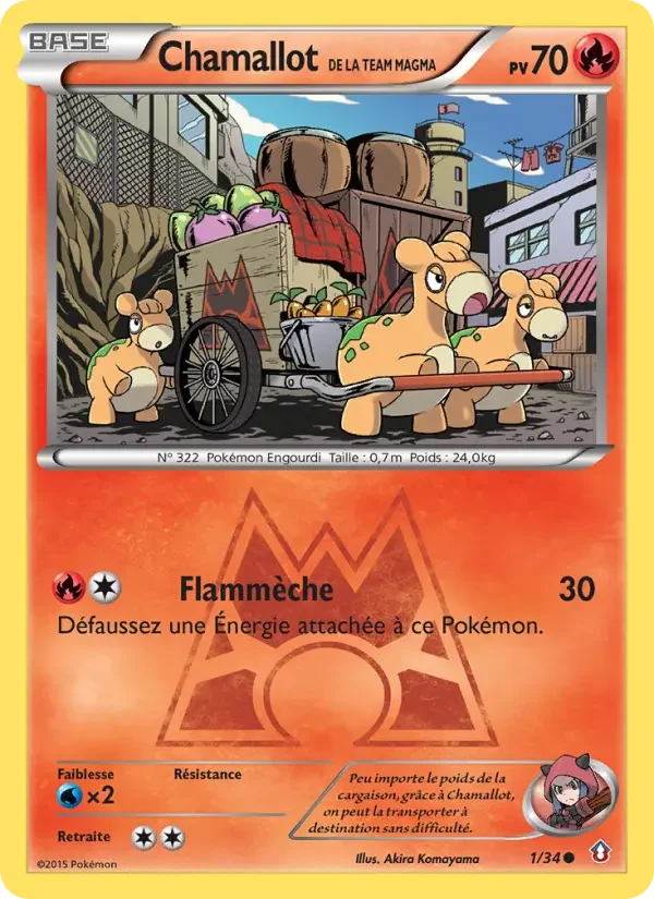 Carte Chamallot de la Team Magma