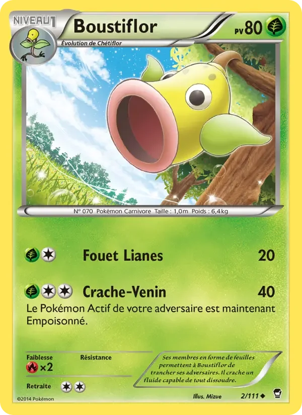 Carte Boustiflor