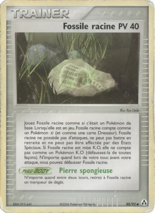 Carte Fossile racine